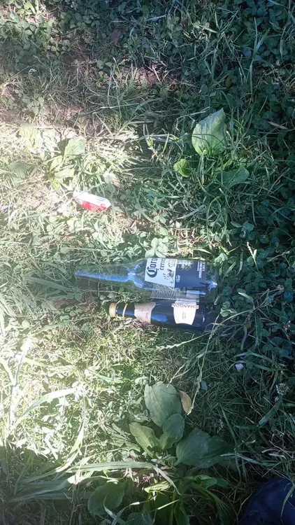 BEBIDAS, CHAMPAGNE, ROBO