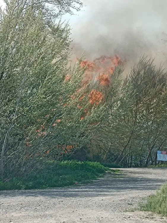 INCENDIO EN LA COSTANERA DE VIEDMA