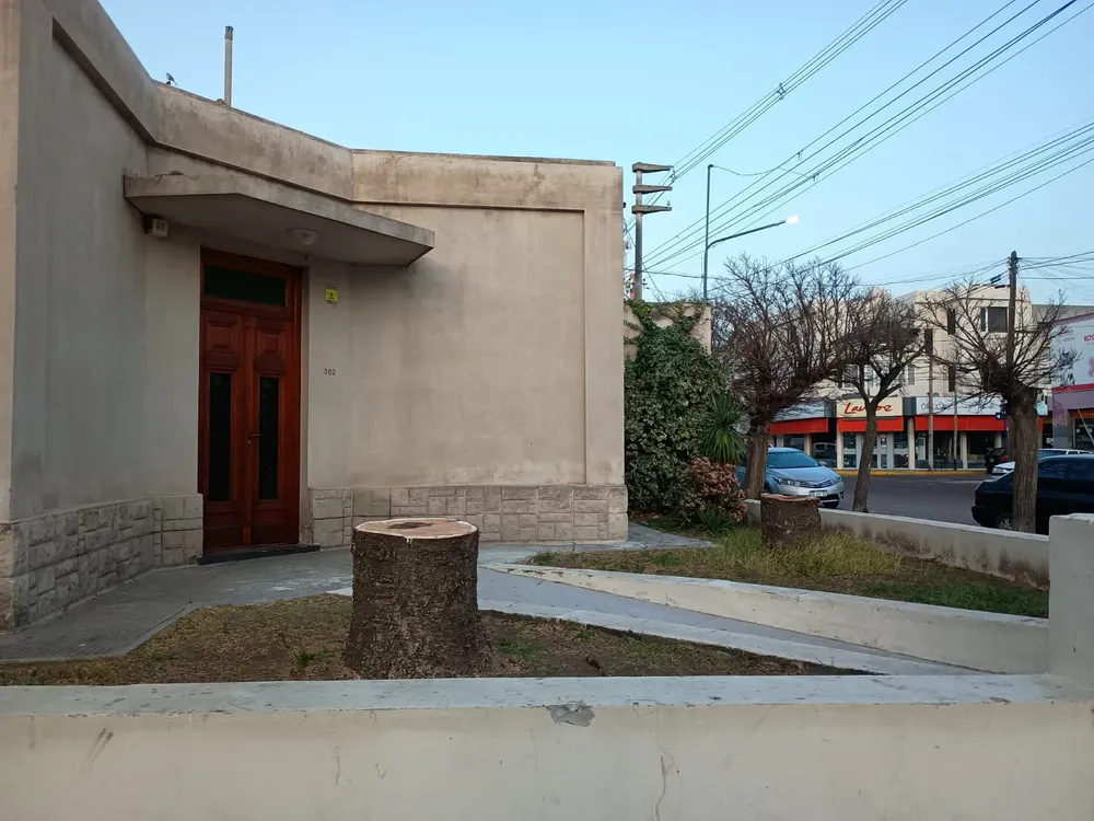 ARAUCARIAS, TALA, BUENOS AIRES Y MITRE