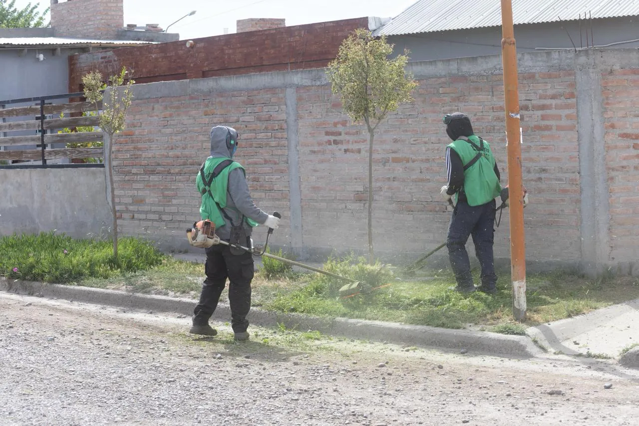 Viedma limpia en comunidad