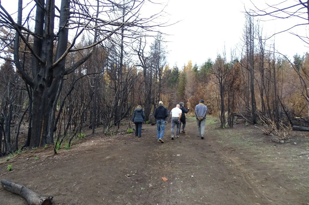 MAGDALENA ODARDA, INCENDIOS