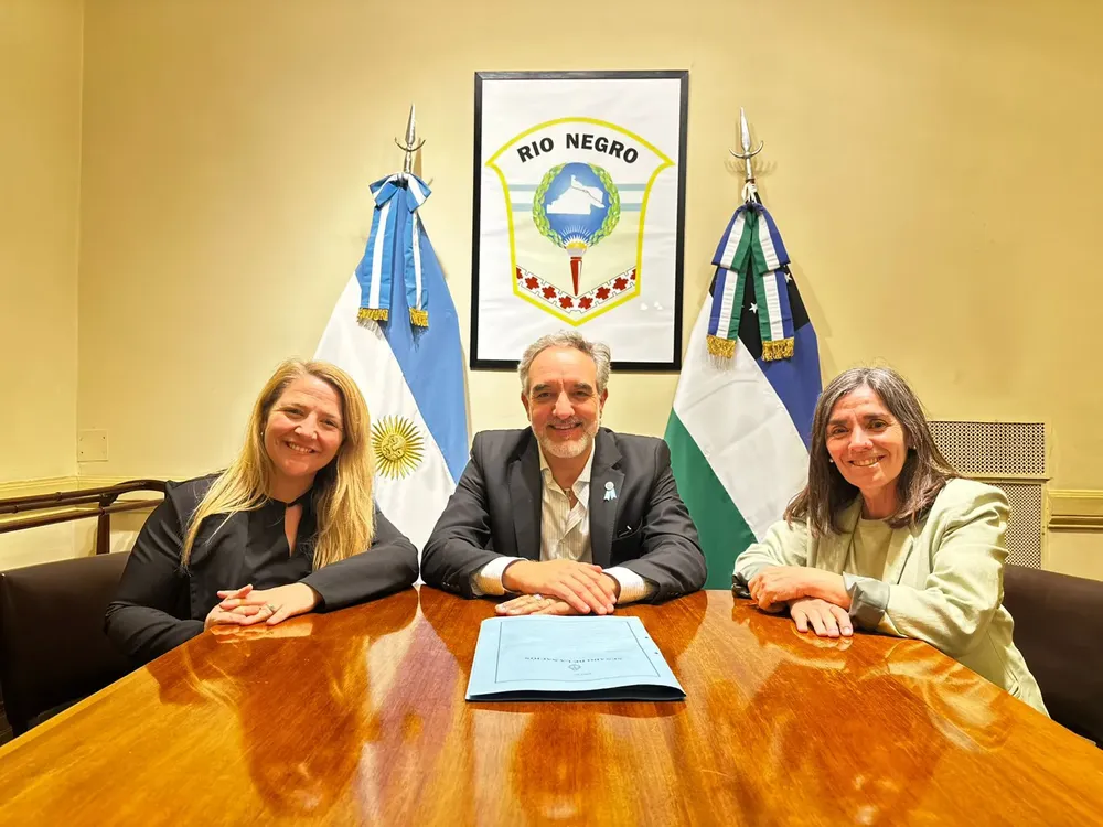 ANA MARKS MARTIN DOÑATE ALEJANDRA MAS