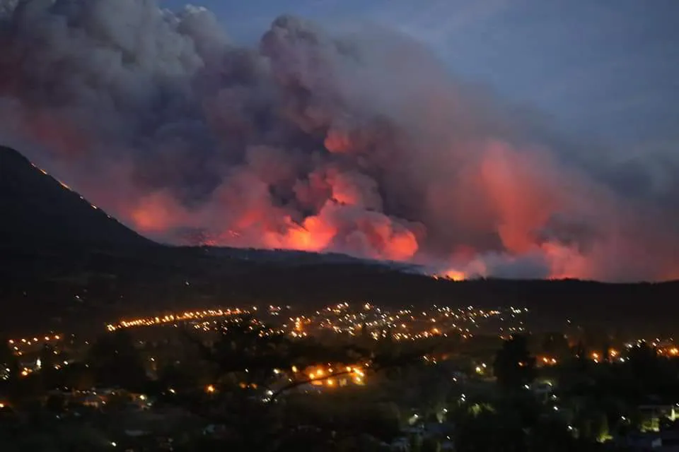 INCENDIO DE BOSQUES