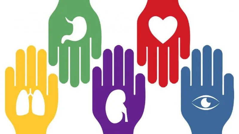 donar organos