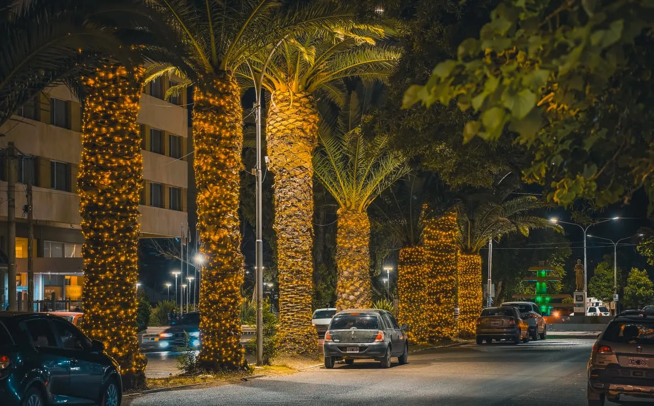 imagen_2026-01-07_220127011