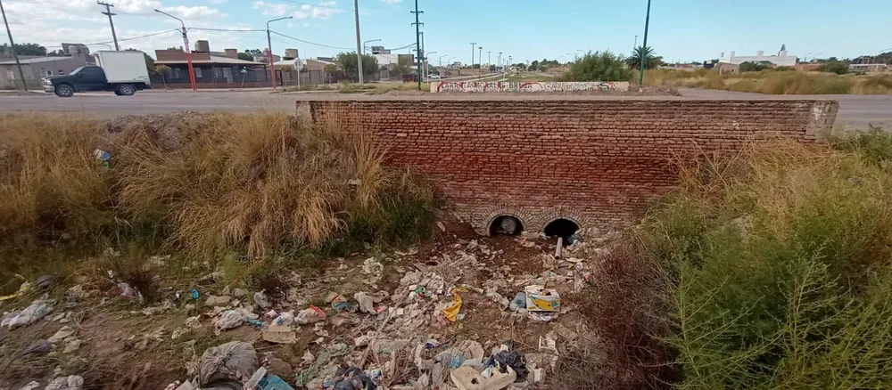 VIEDMA, MICRO BASURAL