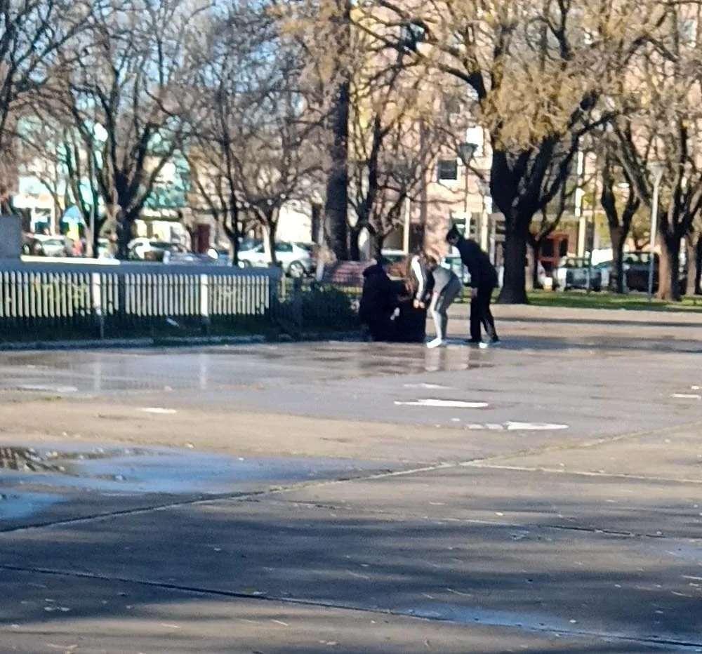 imagen_2025-06-30_132139739