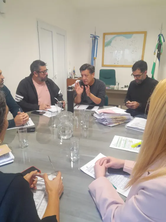 VIEDMA CONCEJO DELIBERANTE LABOR PARLAMENTARIA