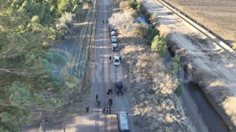 alberto hollmann busqueda