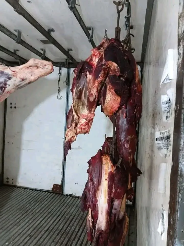 VIEDMA CARNE DECOMISO