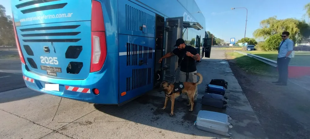 operativo de control vehicular PERROS RUTA 3