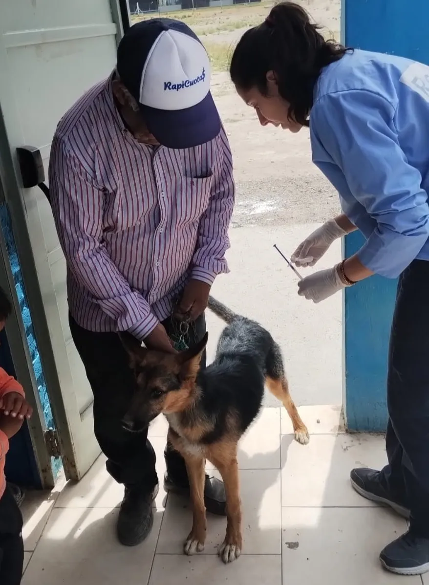 ATENCION PRIMARIA VETERINARIA
