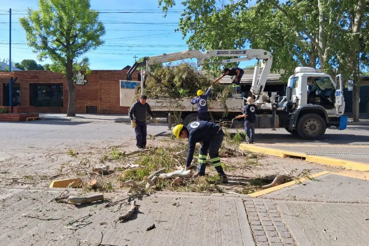 SERVICIOS PUBLICOS
