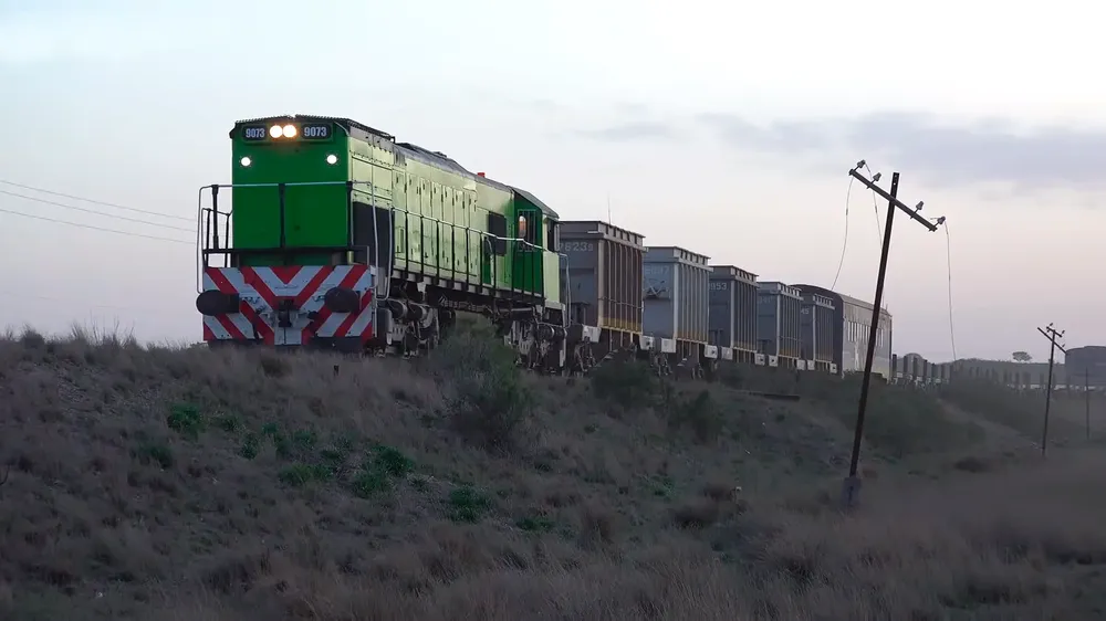 SERVICIO DE CARGAS DE TREN PATAGONICO