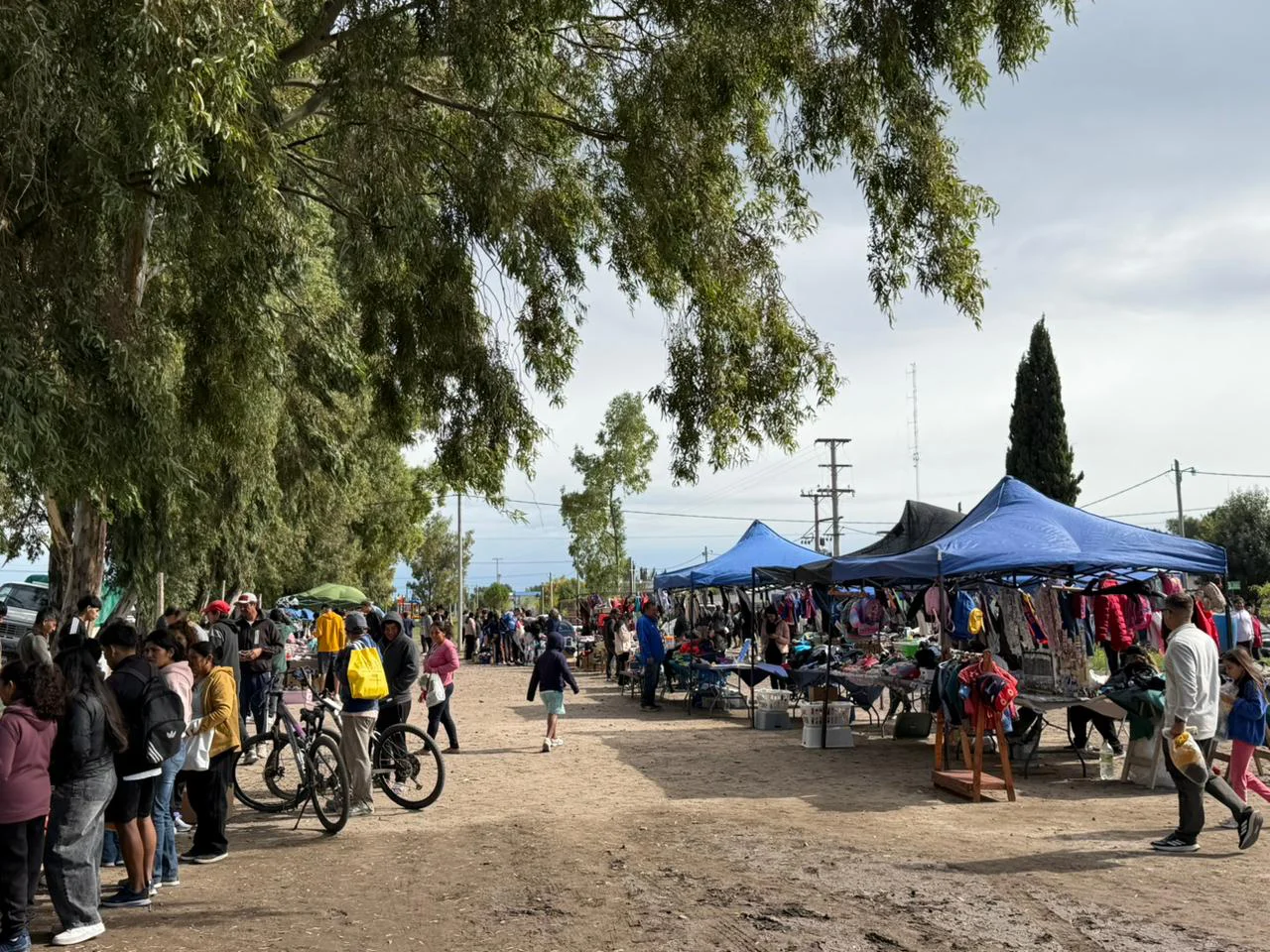 FERIA DE LOS EUCALIPTOS SAN JAVIER