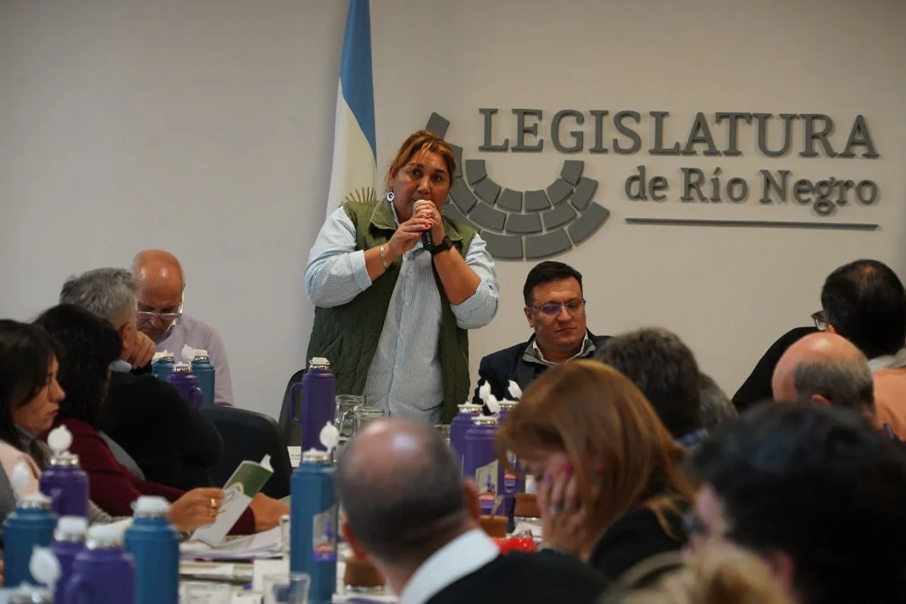GLADYS ALMUNA EN LA LEGISLATURA