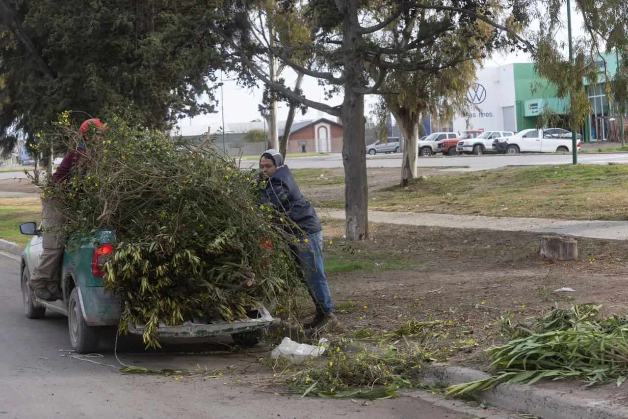 Viedma limpia en comunidad