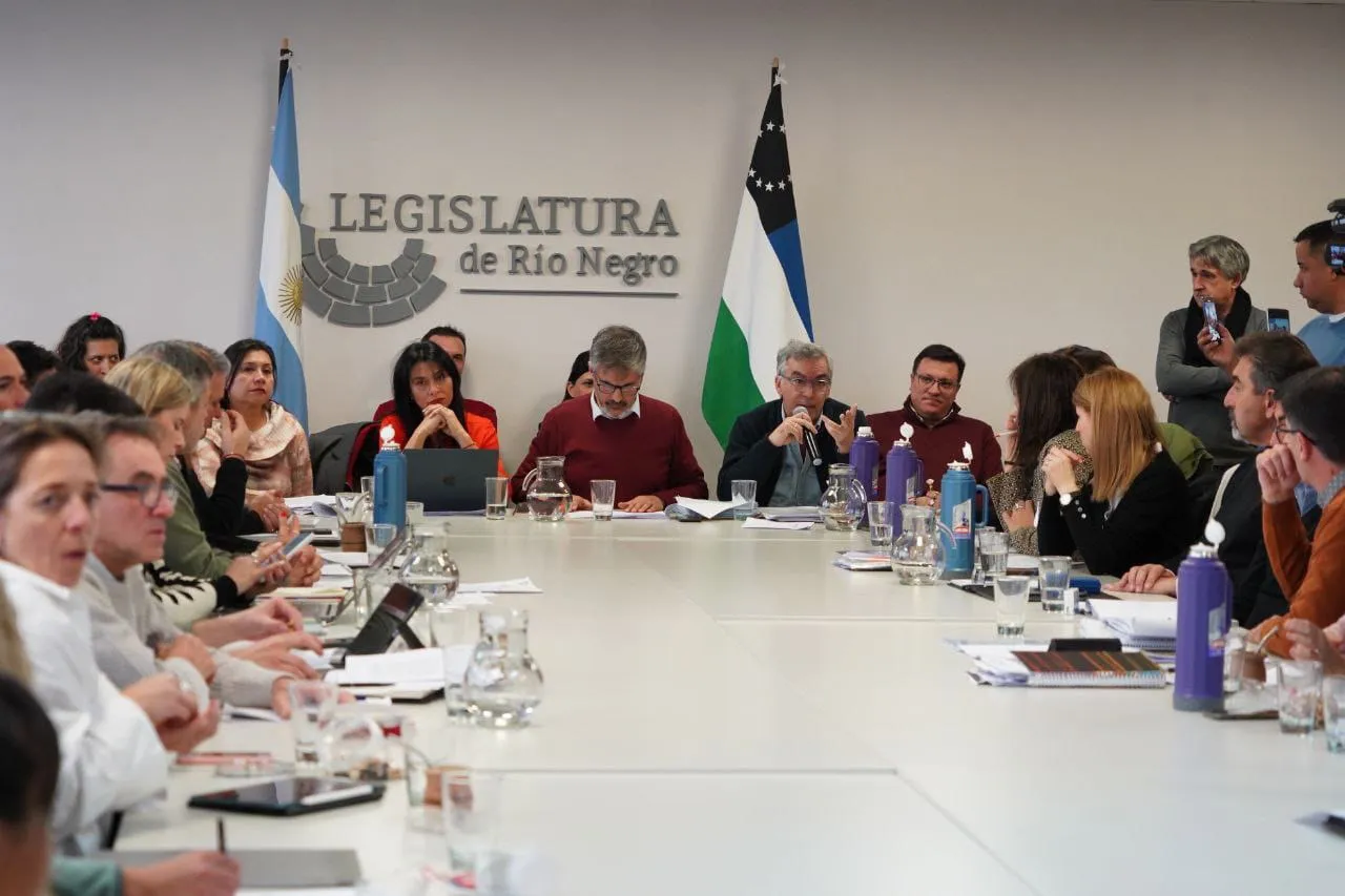 PLENARIA DE COMISIONES EN LA LEGISLATURA