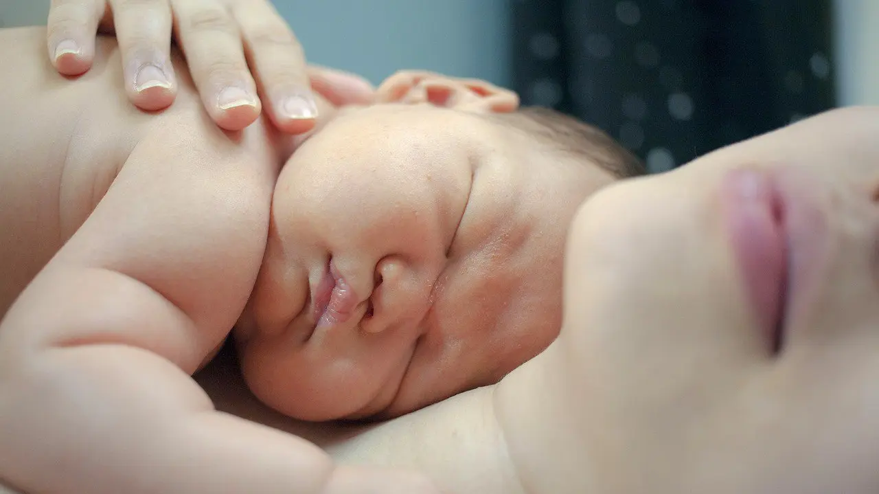 bebe