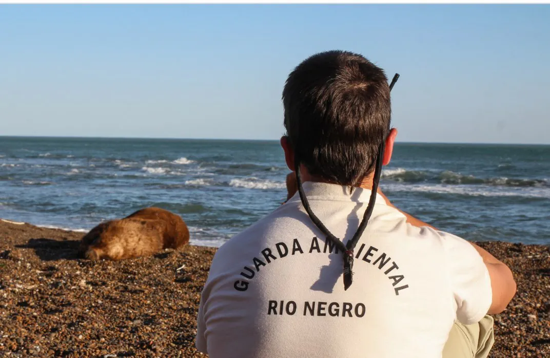 GUARDA AMBIENTAL