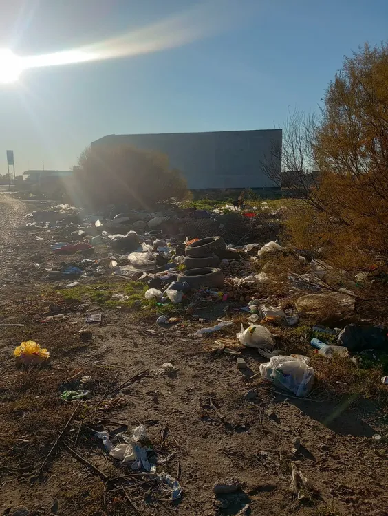 VIEDMA, BASURAL, ACCESO SUR