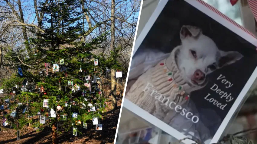 image-2023-12-22T103127.455