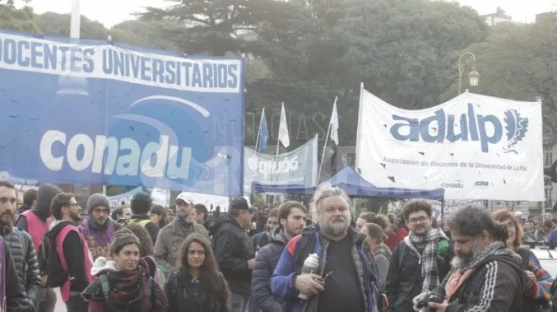 docentes universitarios