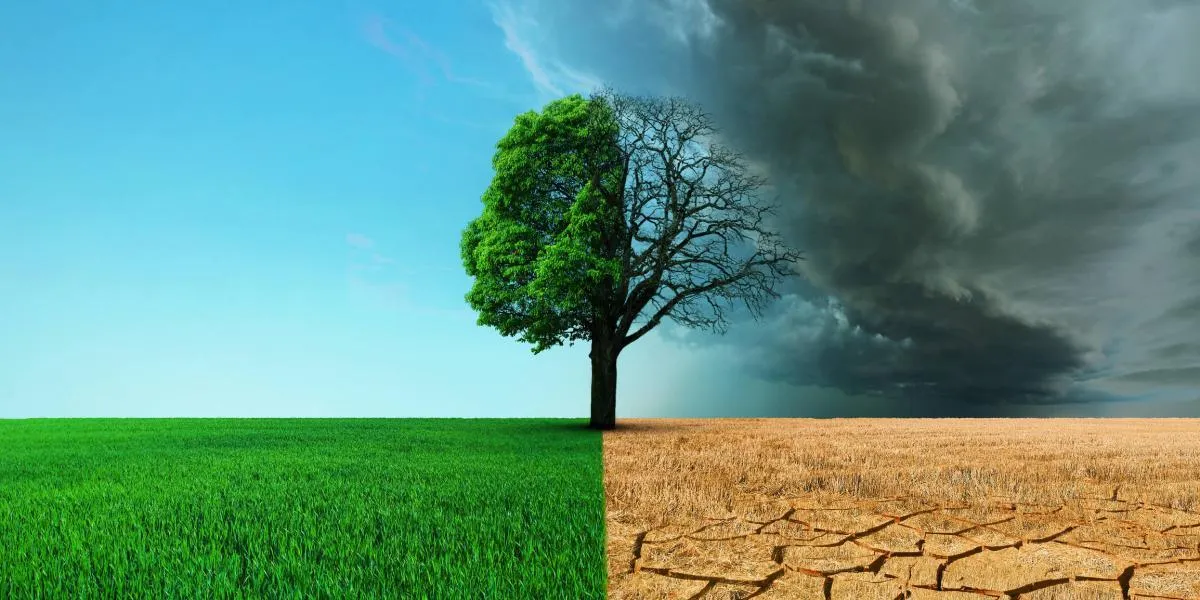 cambio climatico