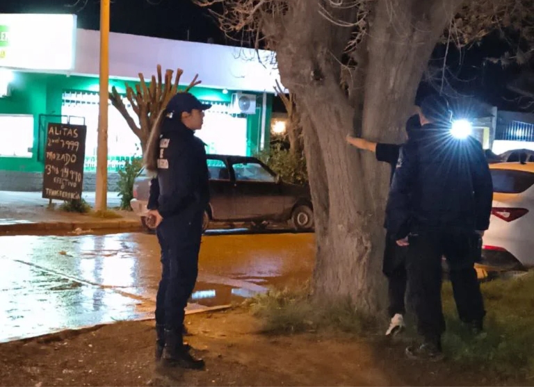 VIEDMA DETENIDO