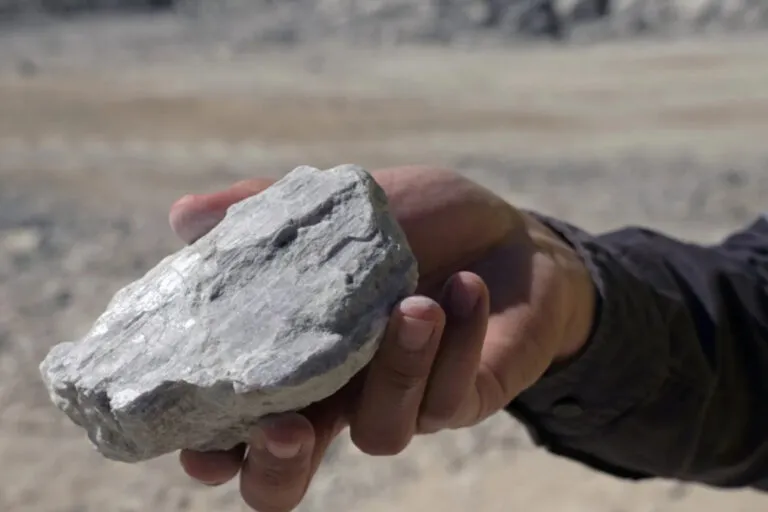 20250703091003_whatsapp-image-2025-07-03-at-09-07-49-768x512