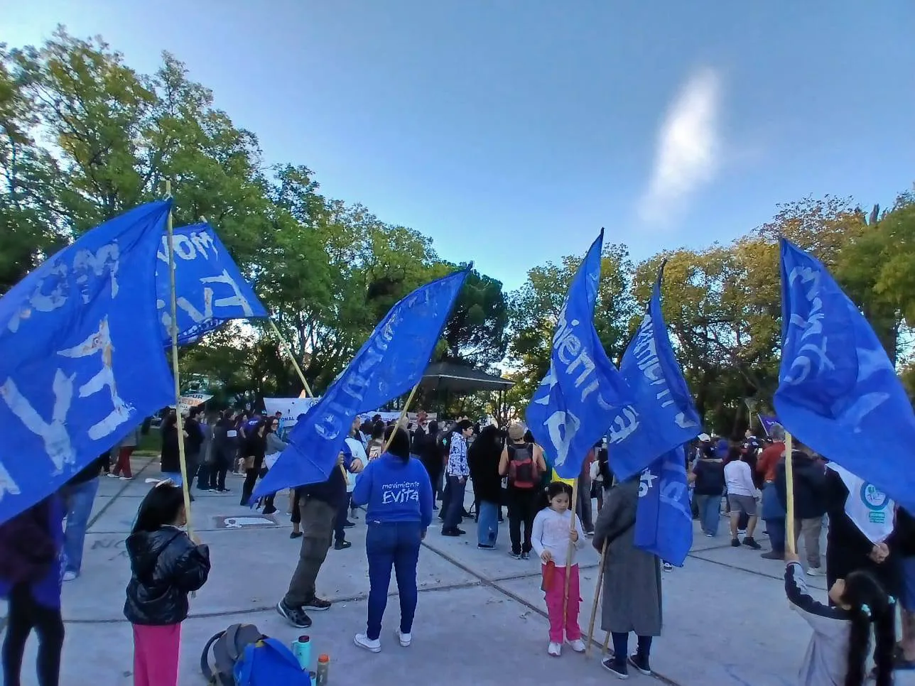 JUBILADOS, MOVILIZACION, VIEDMA