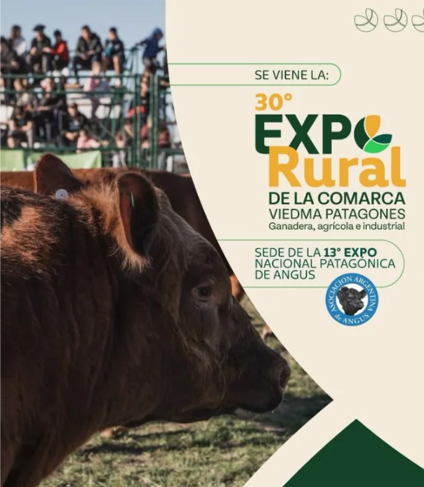 VIEDMA EXPOSICION RURAL
