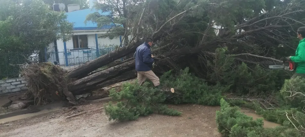 TEMPORAL EN EL CONDOR