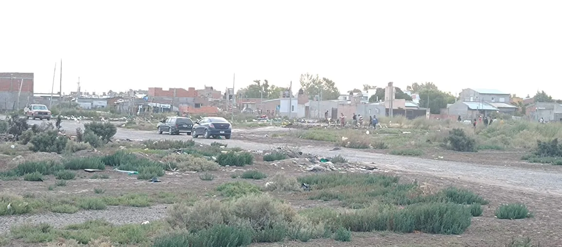 VIEDMA, USURPACION