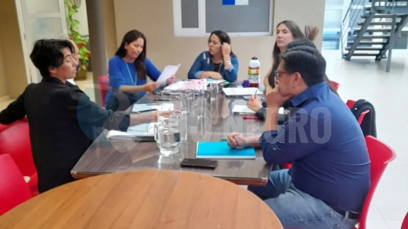 comision de desarrollo economico Concejo Deliberante viedma