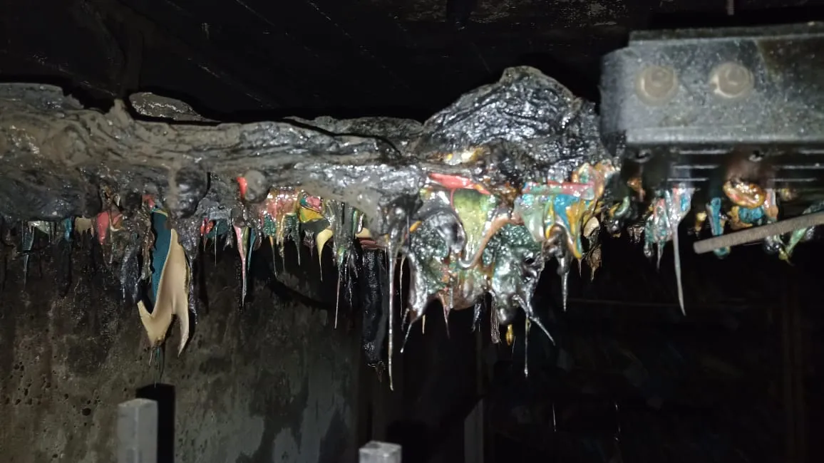 imagen_2025-06-04_114449952