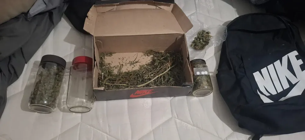 CANNABIS MARIHUANA
