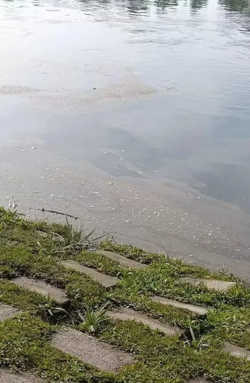 RIO VIEDMA DESECHOS CLOACALES