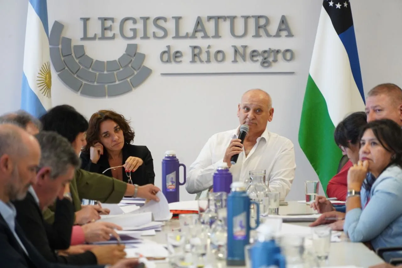 COMISION DE ASUNTOS SOCIALES DE LA LEGISLATURA