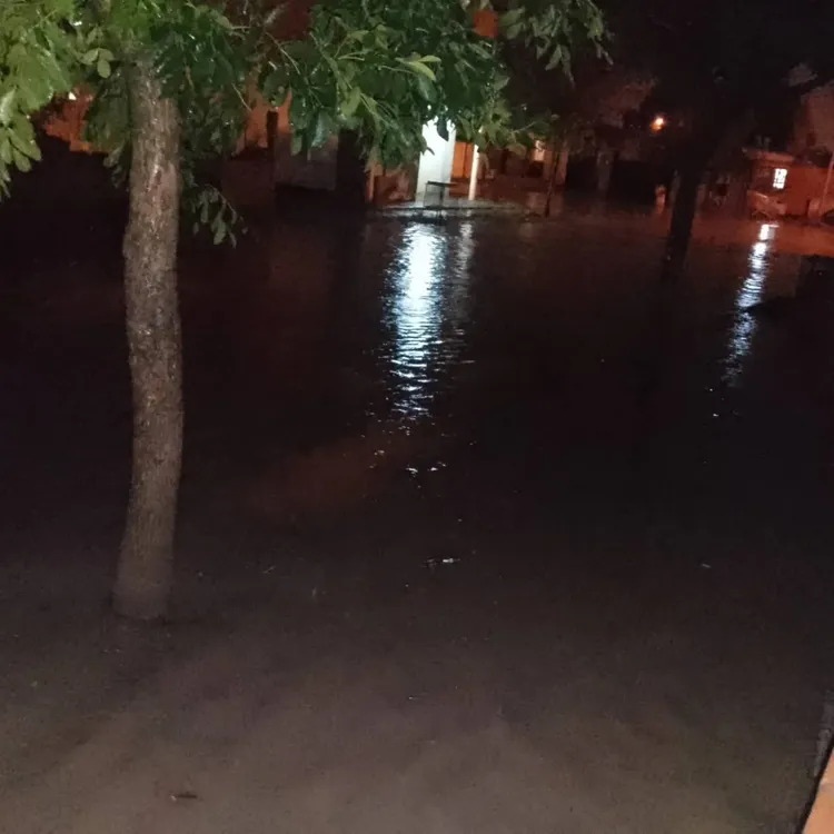 VIEDMA TORMENTA ANEGAMIENTO CALLE