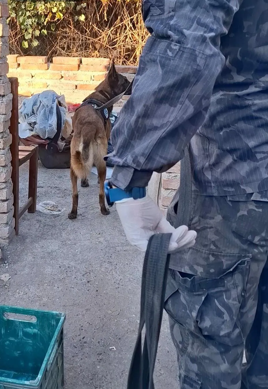 WhatsApp_Image_2025_05_08_at_3.19.47_PM