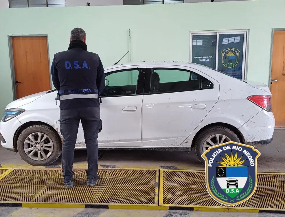 VIEDMA AUTO SECUESTRADO GEMELO
