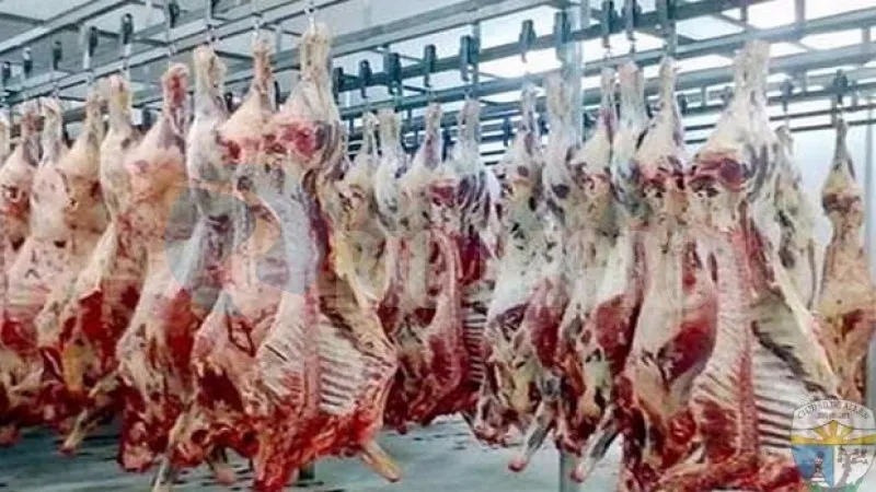 carne frigorifico