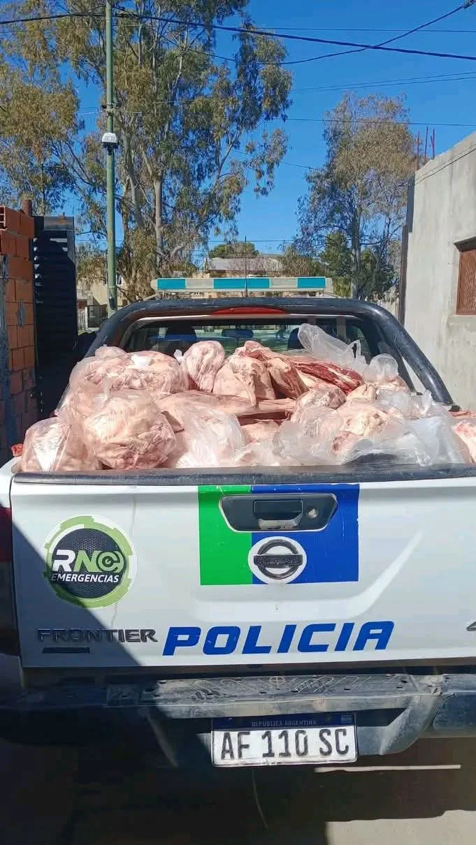 VIEDMA CARNE DECOMISO