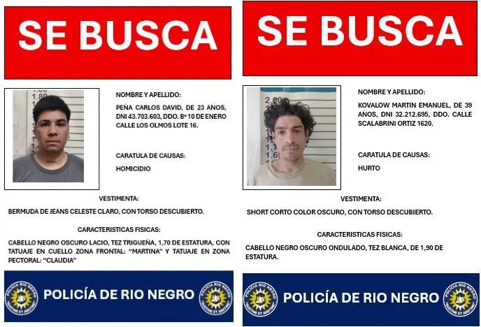 Carlos David 
