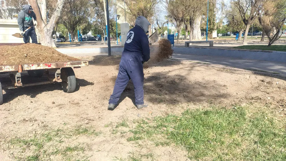 RESIEMBRA 2