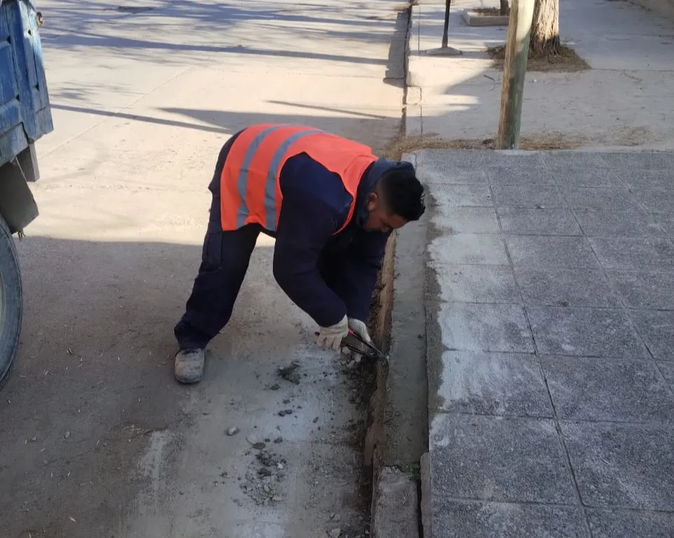 BACHEO (1)