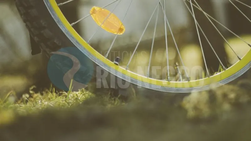 bicicleta rueda
