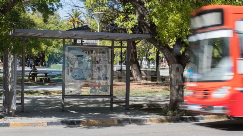 COLECTIVO