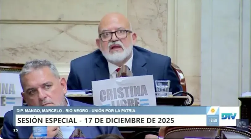 MARCELO MANGO DIPUTADOS
